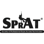 sprat